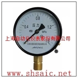 Y-100B-FZ不锈钢耐震压力表-上海上仪公司(1)